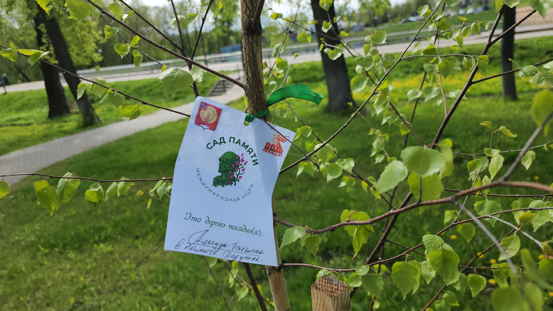 серпухов, сад победы, 9 мая, братья чудиновы,