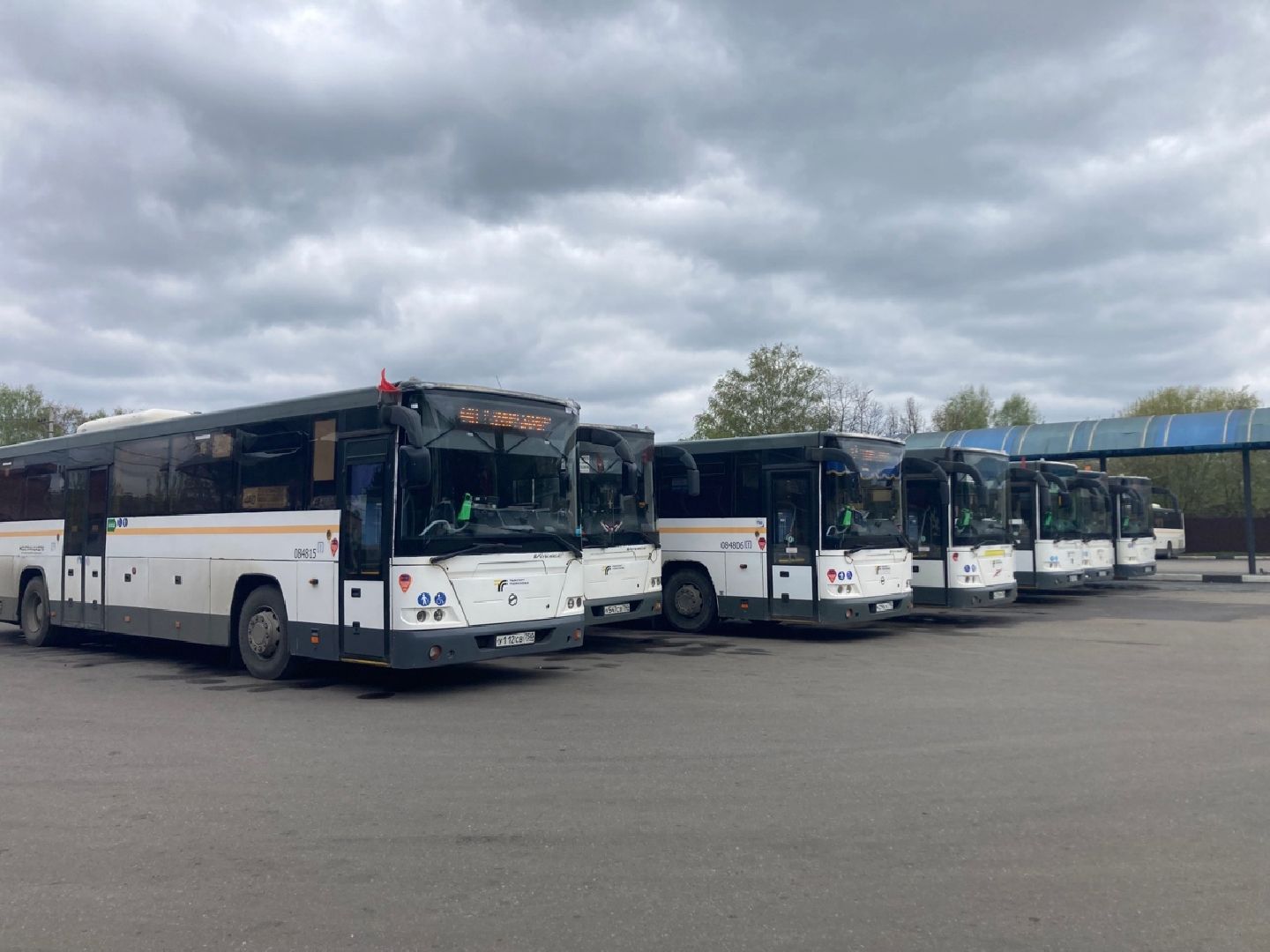 Солнечногорск, Мострансавто, пассажиры, акция, цветы