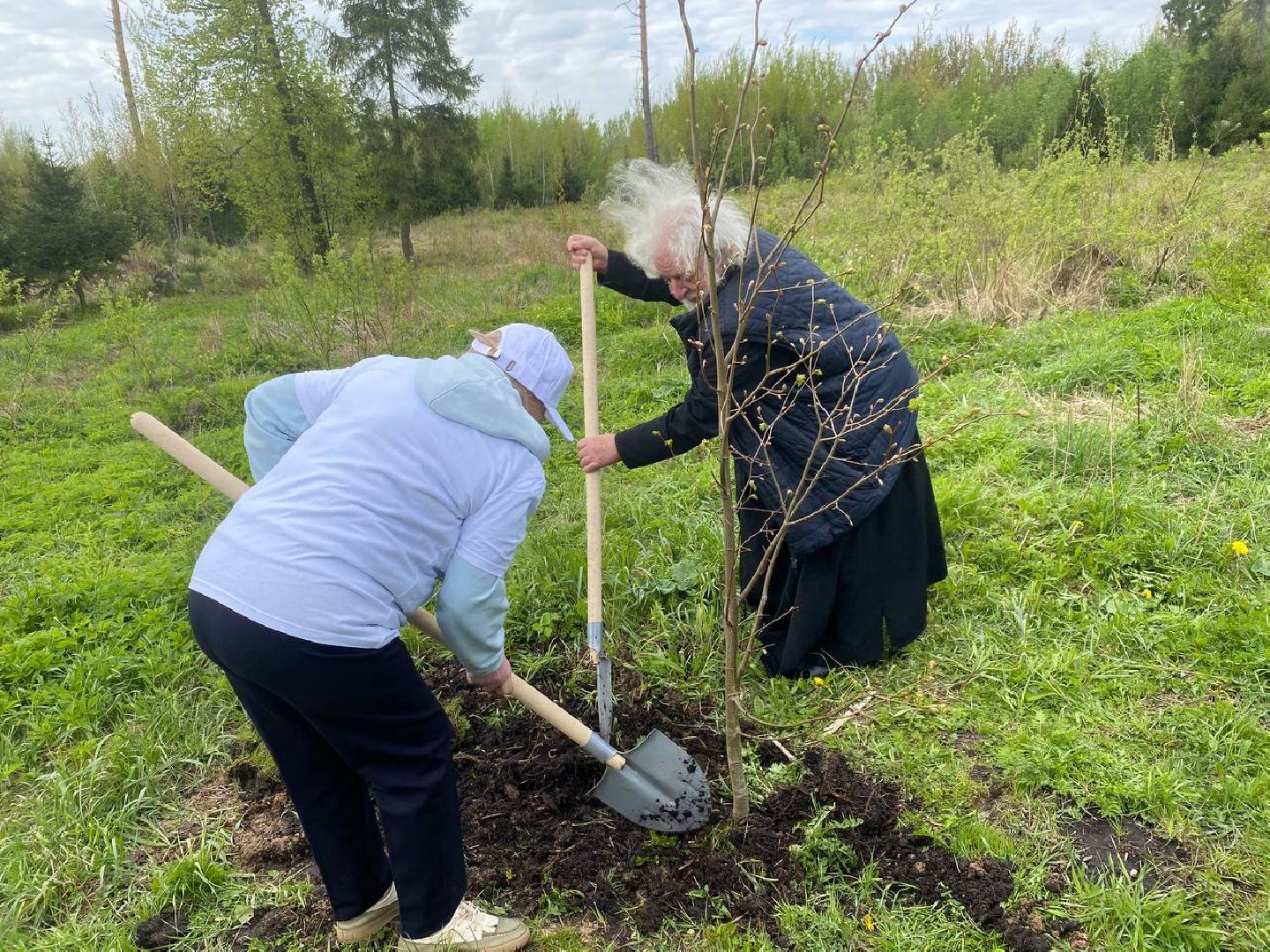 сад памяти, посадить дерево, новый сад в Опалихе,