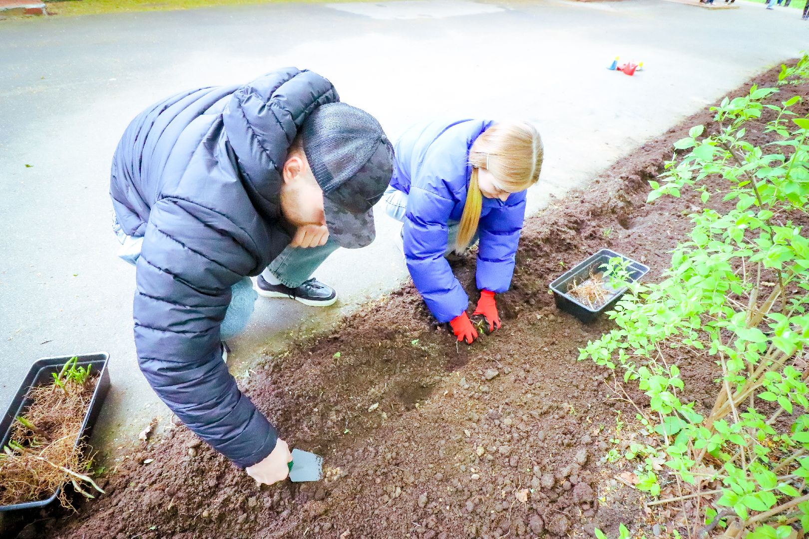 клин, общество, благоустройство, чайковский, ландыши, культура,