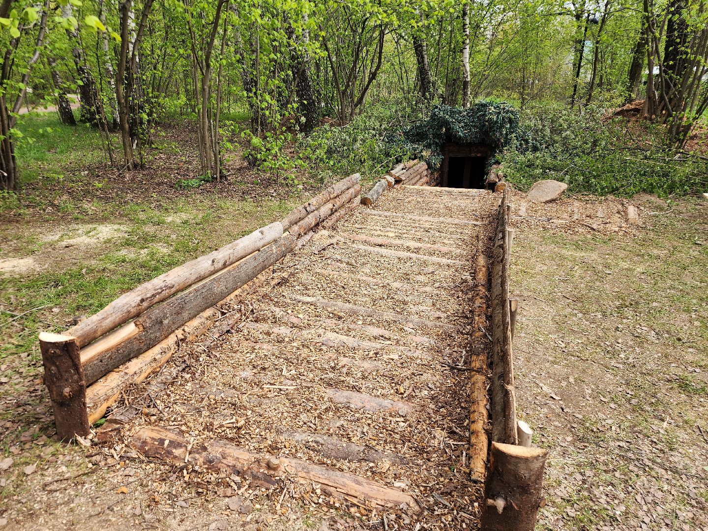 фрязино, 80-летие великой победы, сво, лесопарк,