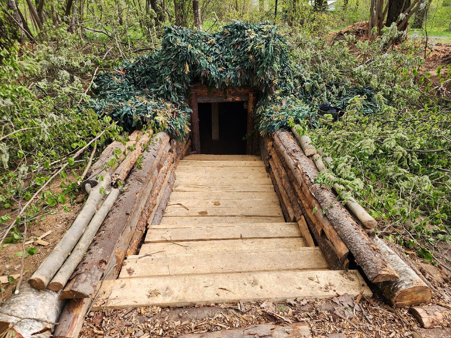 фрязино, 80-летие великой победы, сво, лесопарк,