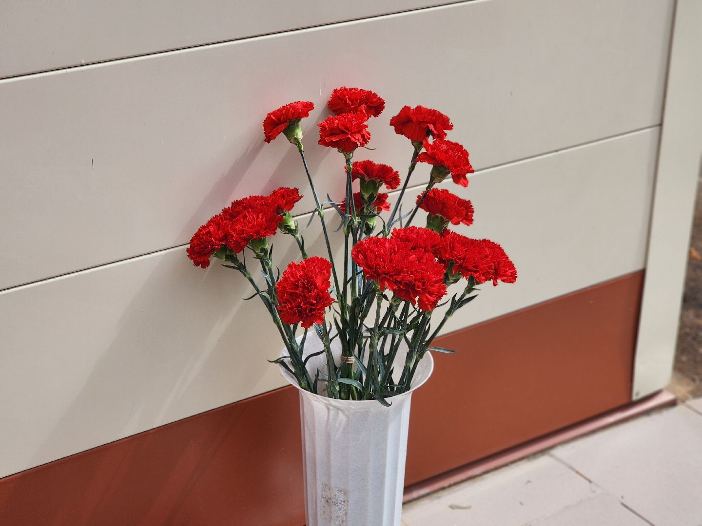 воскресенск, мемориальная доска, сво,