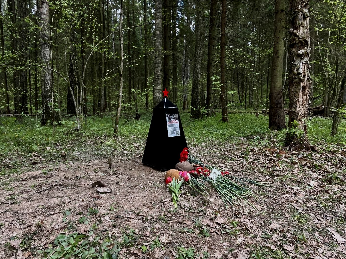 зато молодежный, поисковое движение россии, память войны,