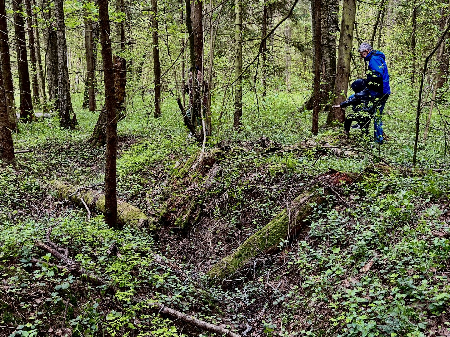 зато молодежный, поисковое движение россии, память войны,