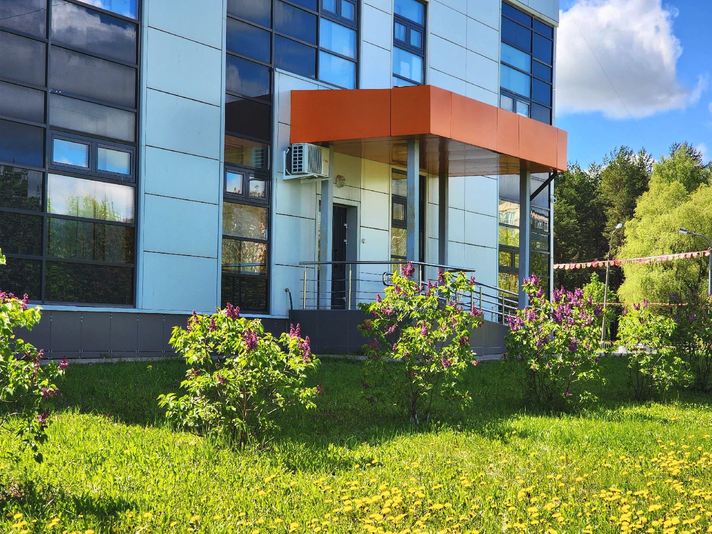 пущино, серпухов, сад победы, экология, сирень,