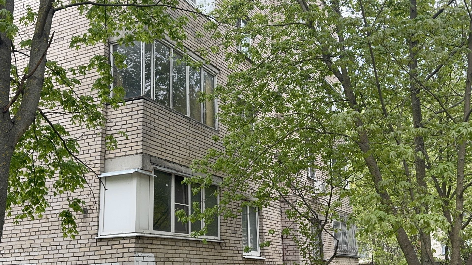 солнечногорск, участник великой отечественной войны, именная табличка, день победы, праздник,