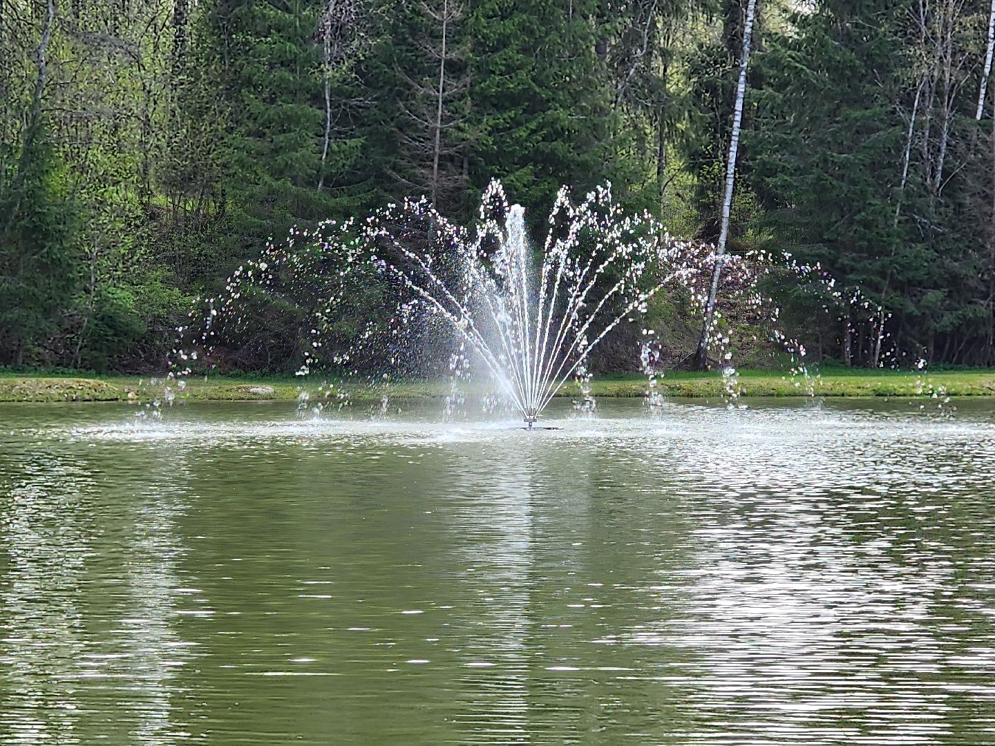 Русские сезоны пересвет, сергиево-посадский городской округ, 80-летие великой победы,