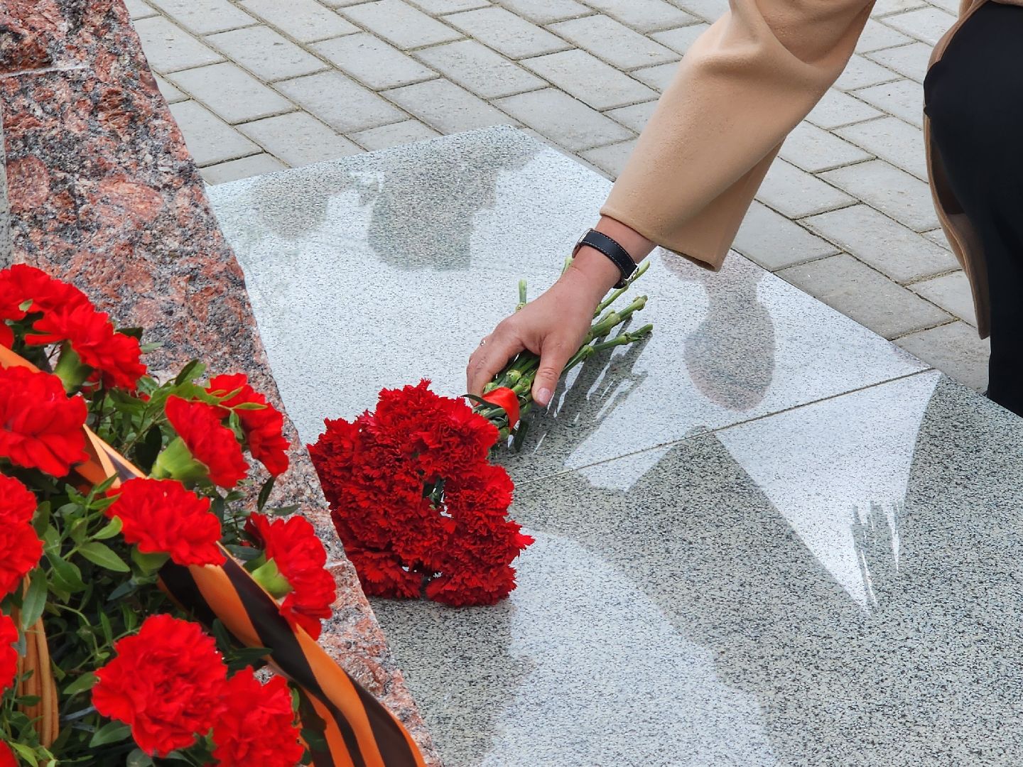 мытищи, митинг к 9 мая,