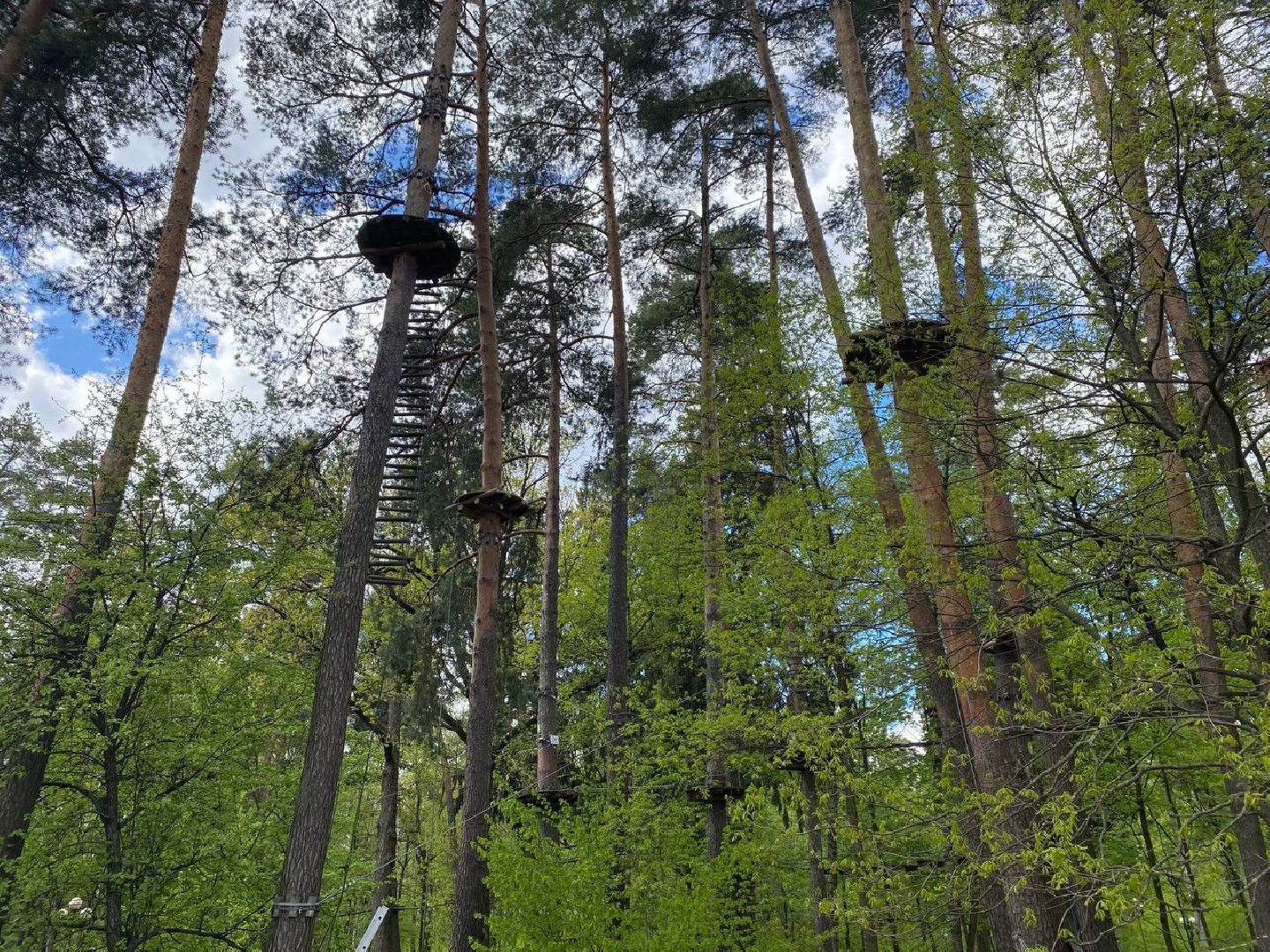 веревочный парк, norway park,