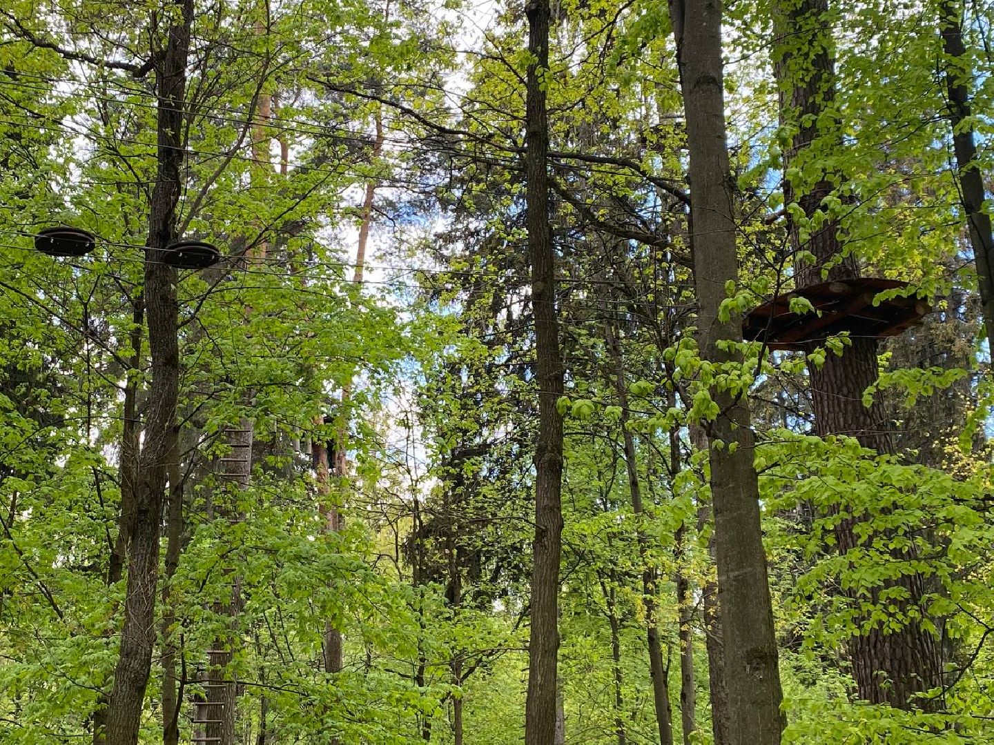 веревочный парк, norway park,