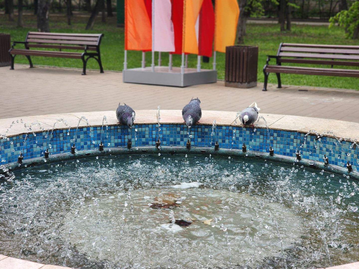 королёв, благоустройство в королеве ко дню победы , центральный сквер в юбилейном,