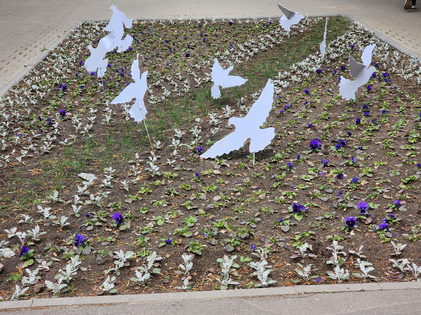 королёв, благоустройство центрального сквера в королеве, вечный огонь в королеве, день победы в королеве,