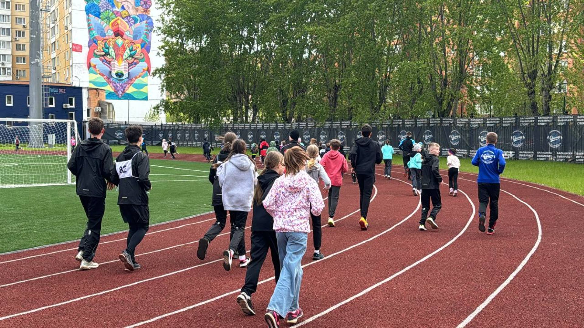 соревнования, первенство, легкая атлетика,