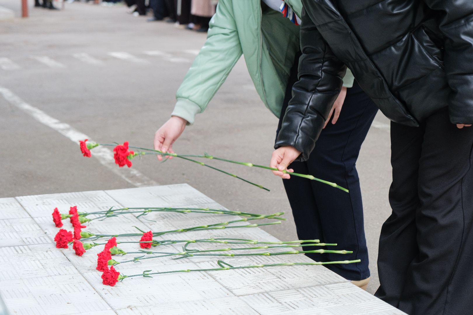 лыткарино, общество, митинги к 9 мая, день победы, 9 мая день победы, моу сош 2 лыткарино, моу гимназия 7 лыткарино, 80-летие великой победы,