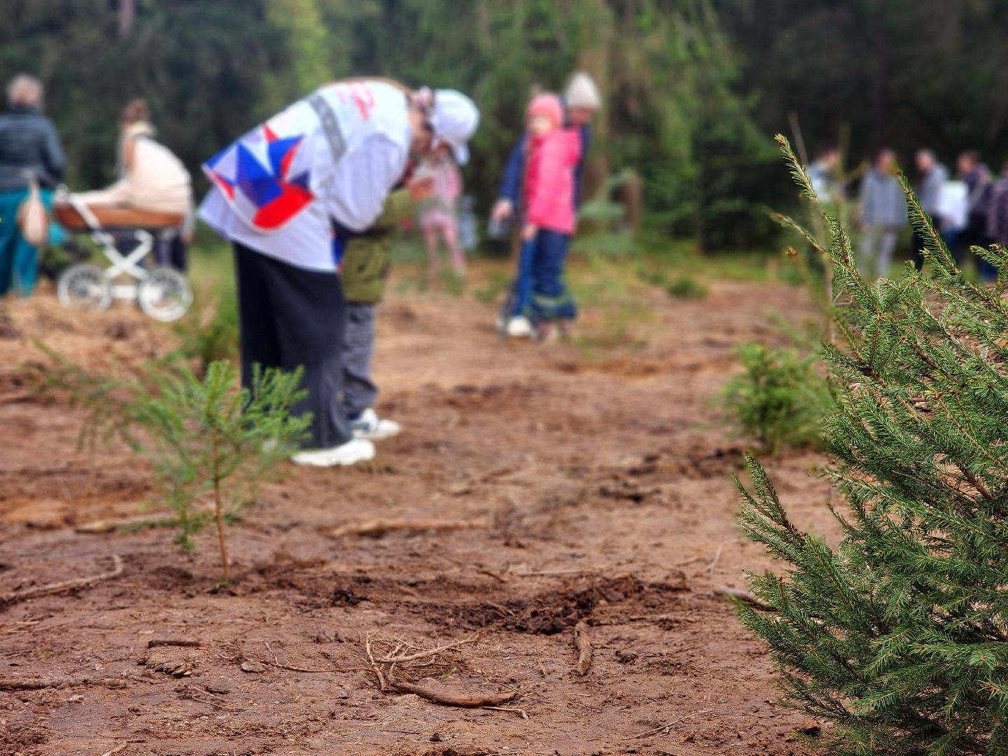 дубна, сад памяти, день победы, волонтеры подмосковья, молодая гвардия, юнармия,
