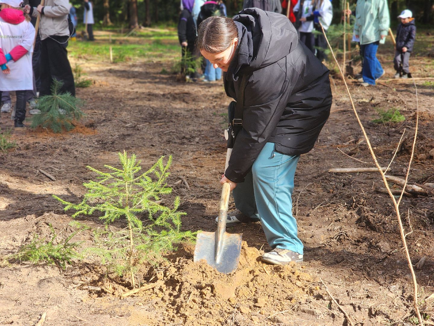дубна, сад памяти, день победы, волонтеры подмосковья, молодая гвардия, юнармия,