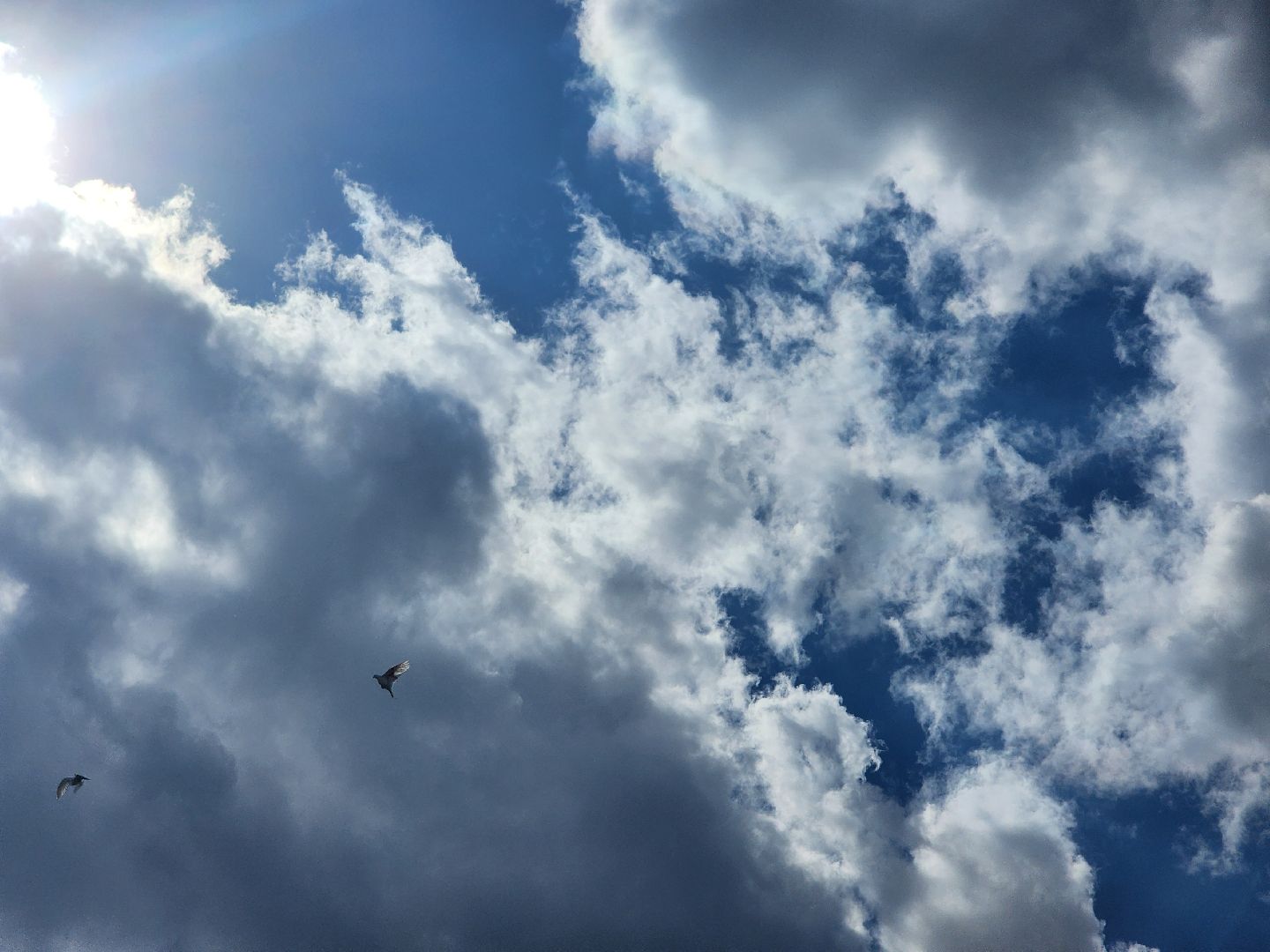 герои вов, мемориал, память о вов,