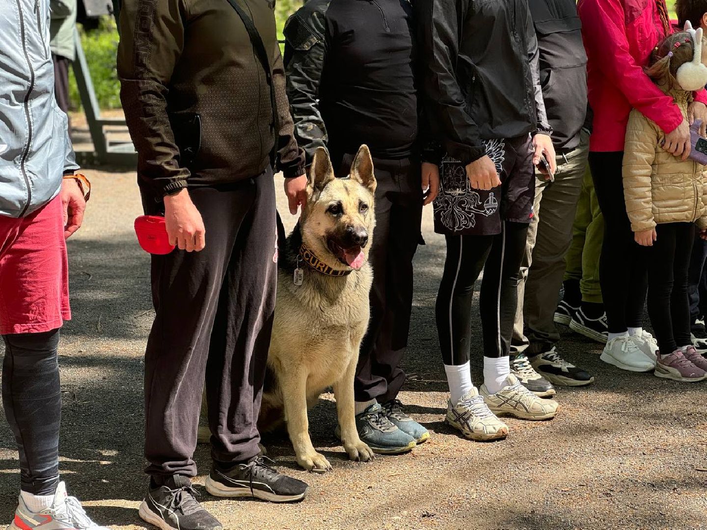 забег, 80-летие великой победы, праздник,