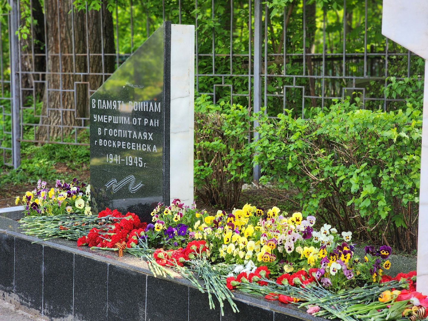 воскресенск, день победы , безопасность, росгвардия,