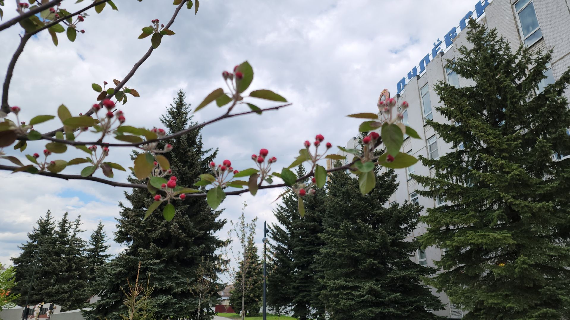 день победы, 80 лет победе, ликино-дулево, орехово-зуевский округ,