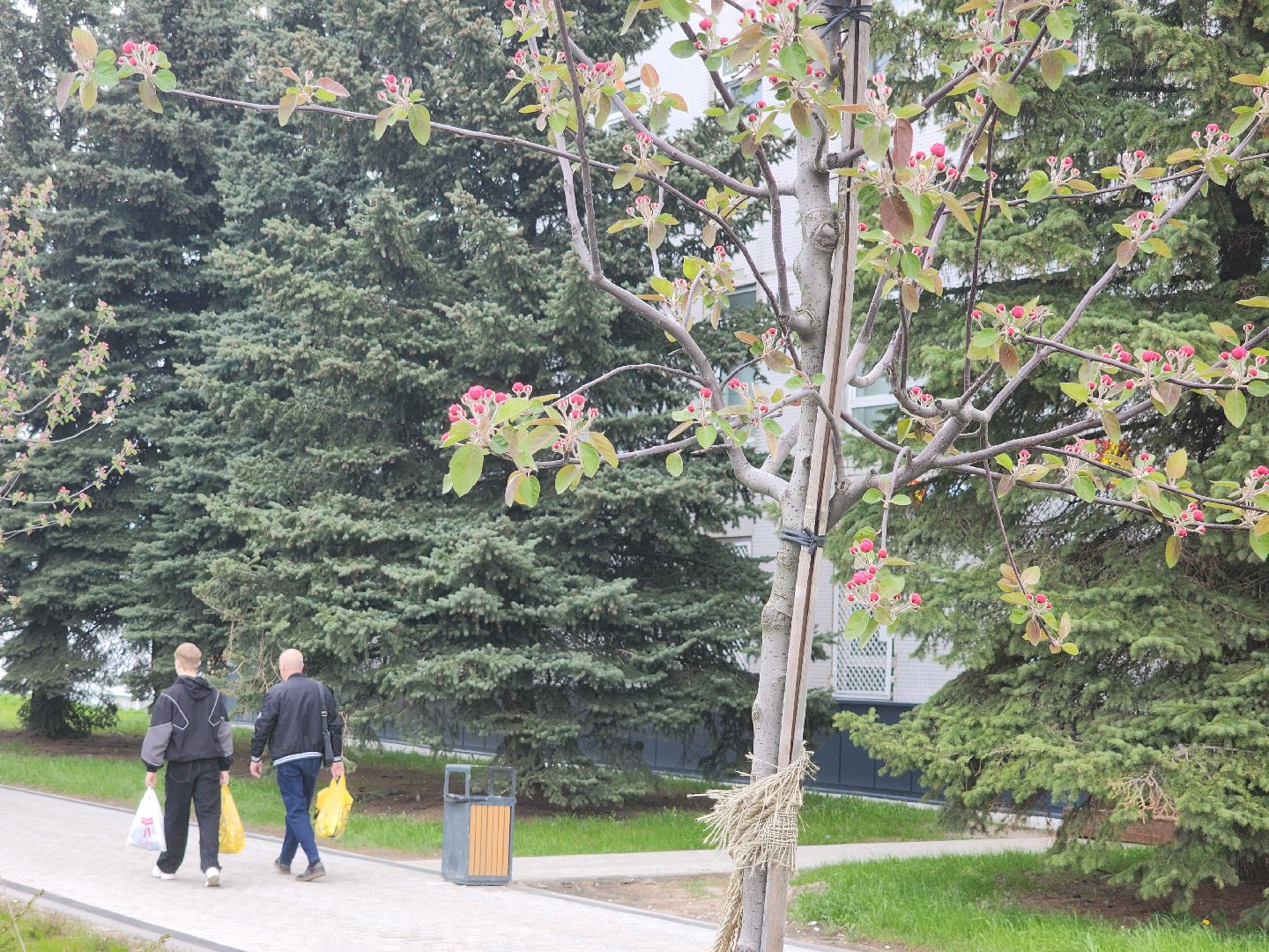 день победы, 80 лет победе, ликино-дулево, орехово-зуевский округ,