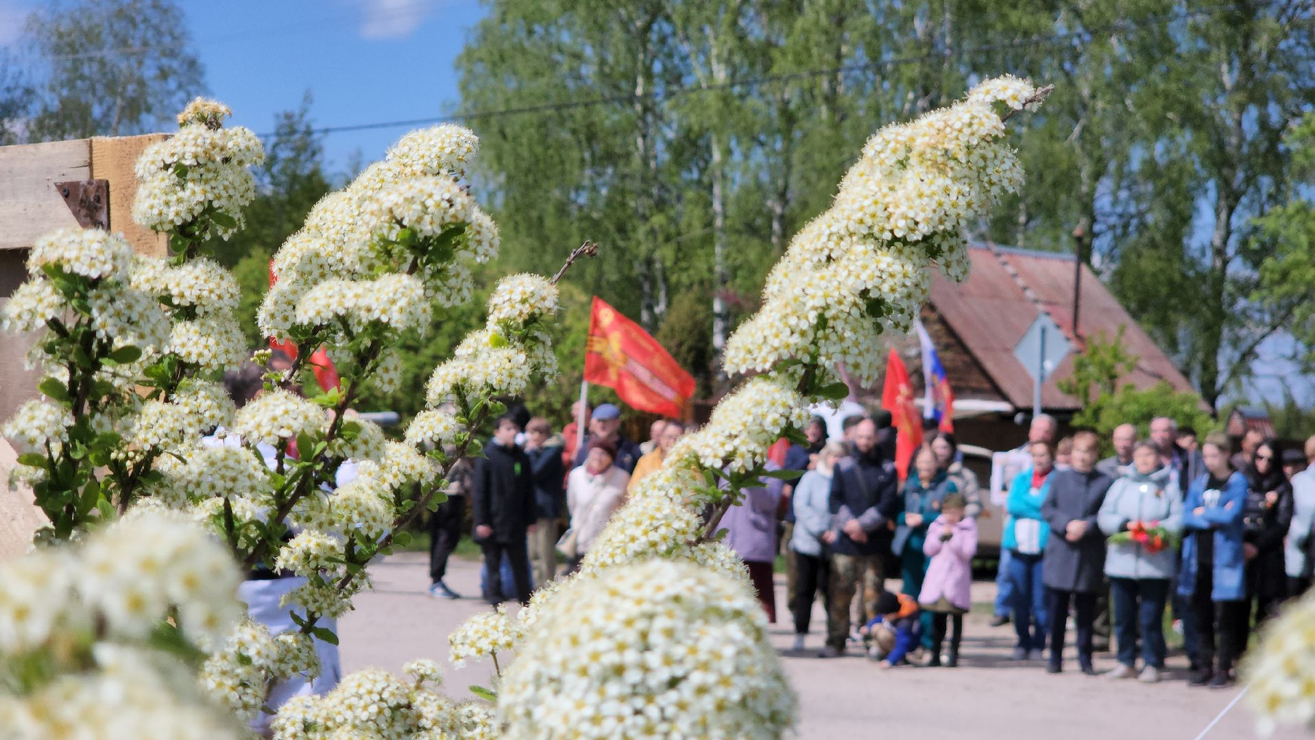 Егорьевск, Подмосковье, Московская область, День Победы,