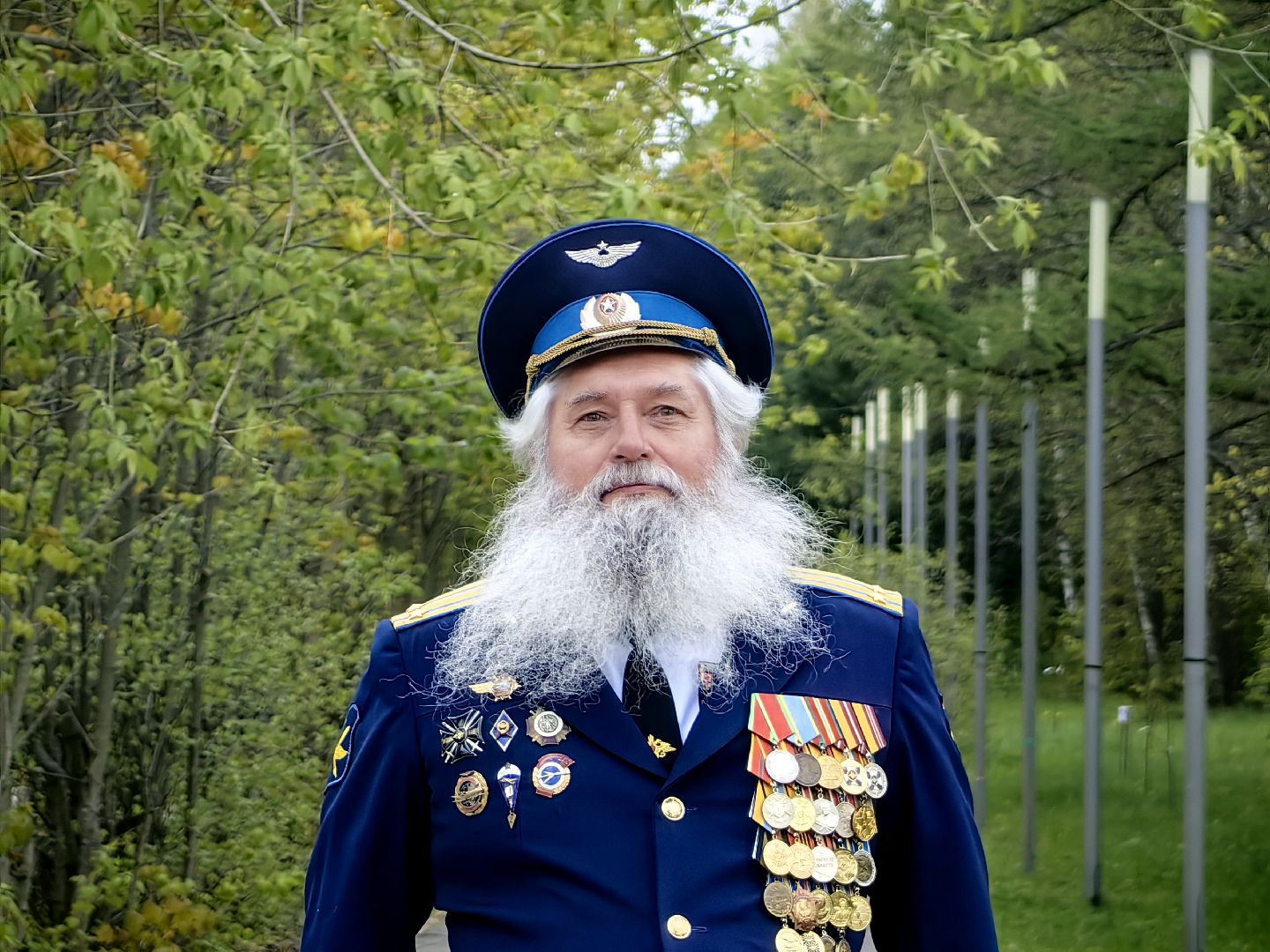 бессмертный полк, портреты, аллея, прадеды, вов, 9 мая,