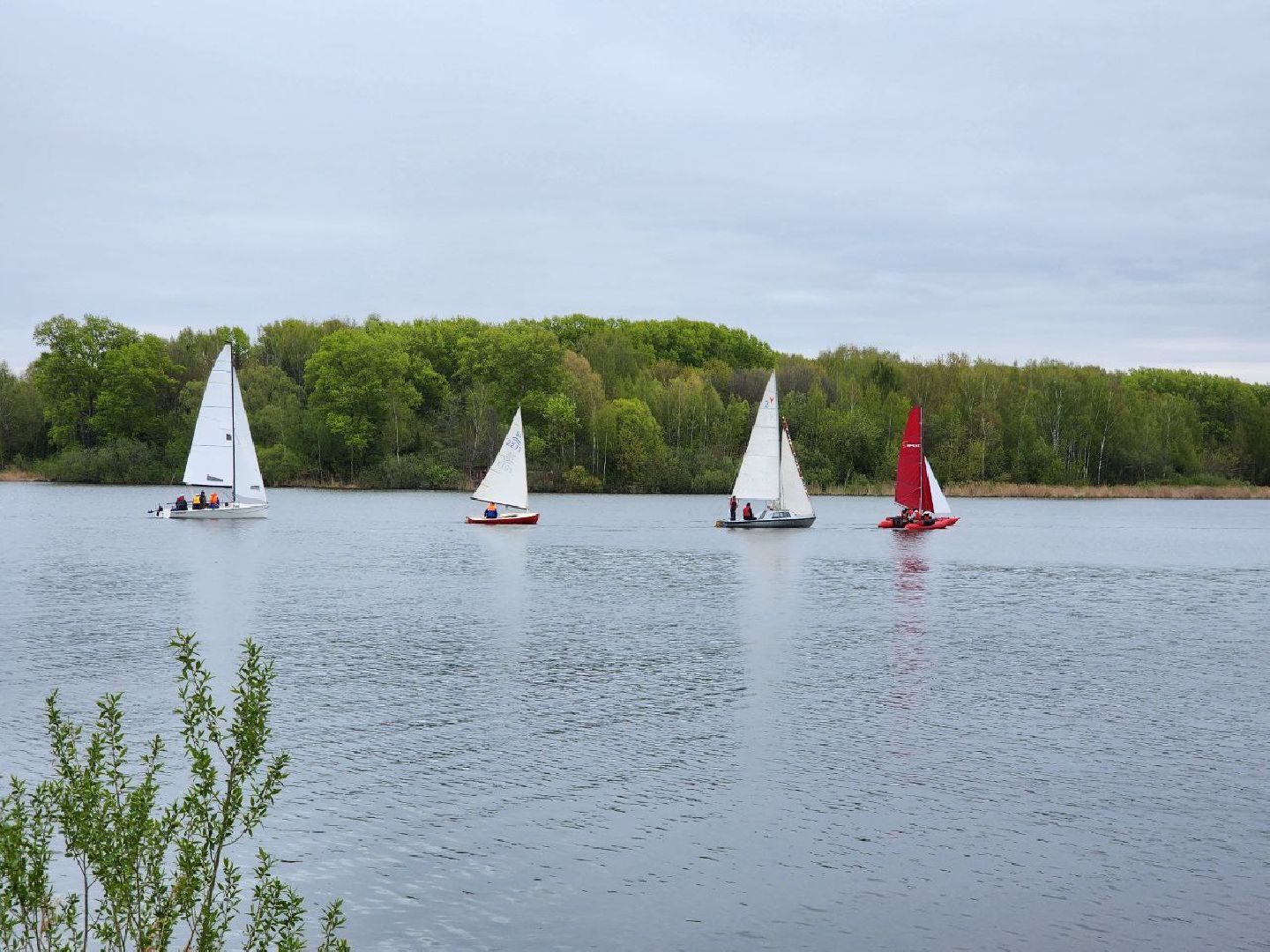 солнечногорск, день победы, регата,  праздник, 9 мая,