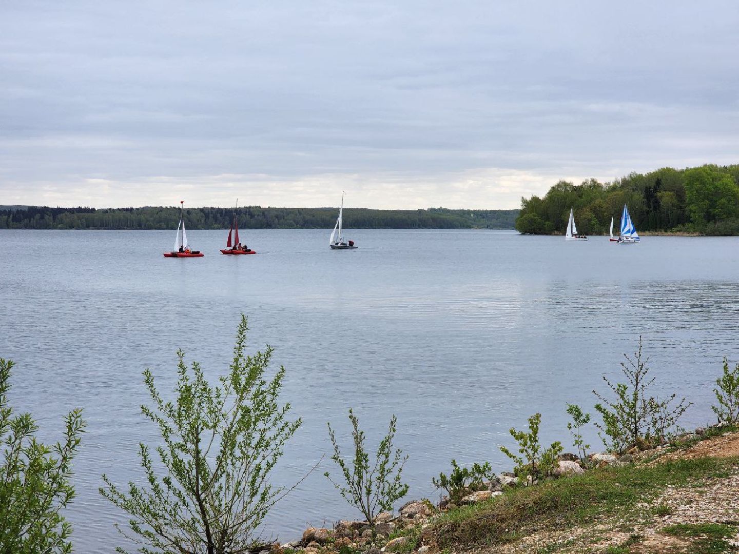 солнечногорск, день победы, регата,  праздник, 9 мая,