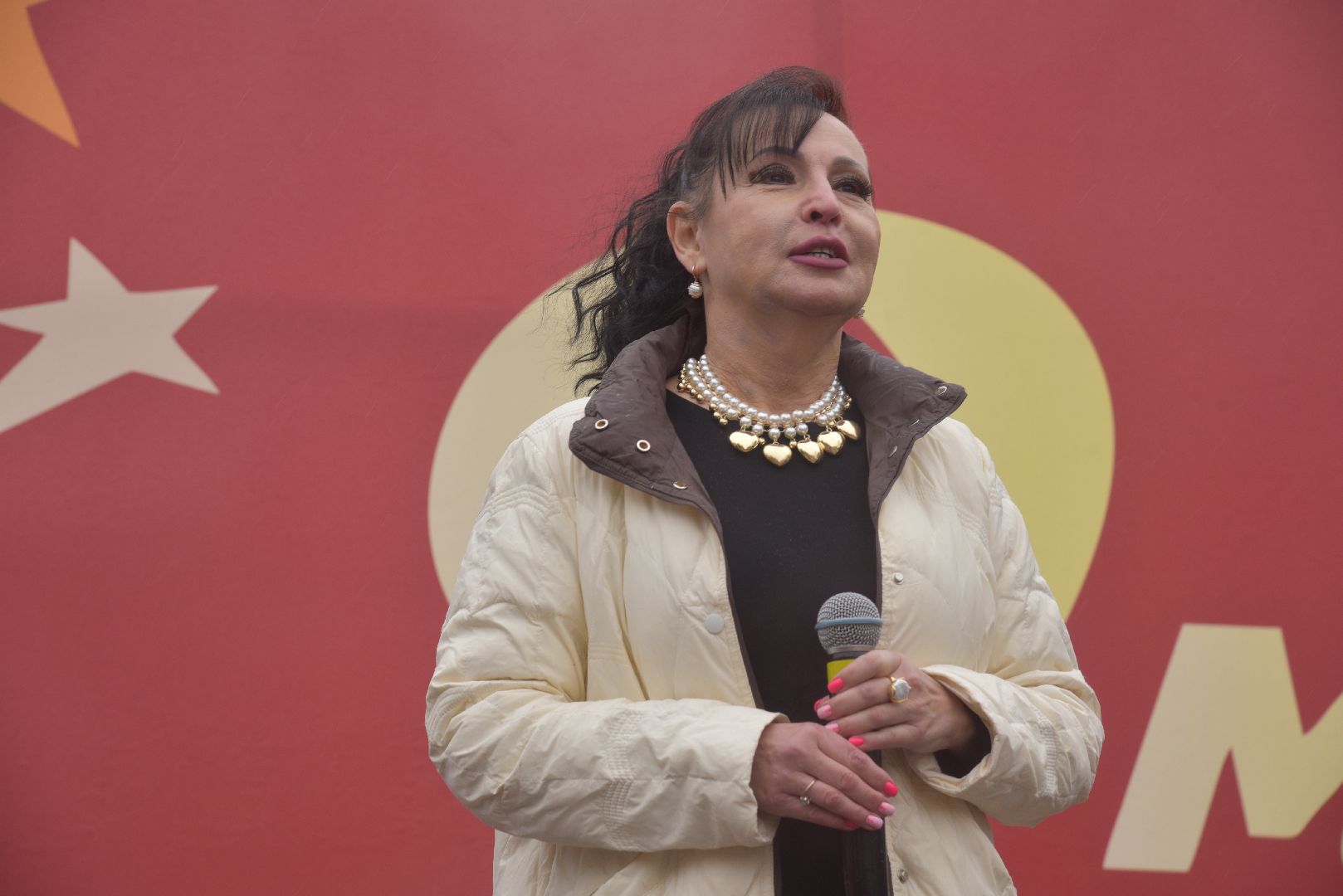 лотошино, день победы, пермское землячество,