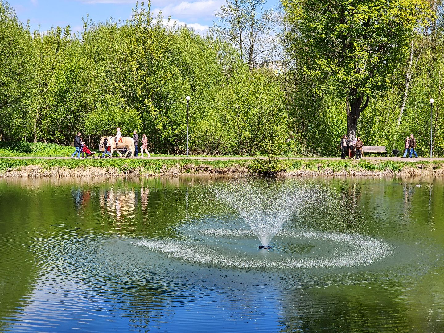 Чехов, городской парк, праздничная программа, культурно-массовые мероприятия, анимация, конкурсы, игры, песни и танцы, чтение стихов, концерт, мастер-классы, полевая кухня, фотозоны, День Победы,
