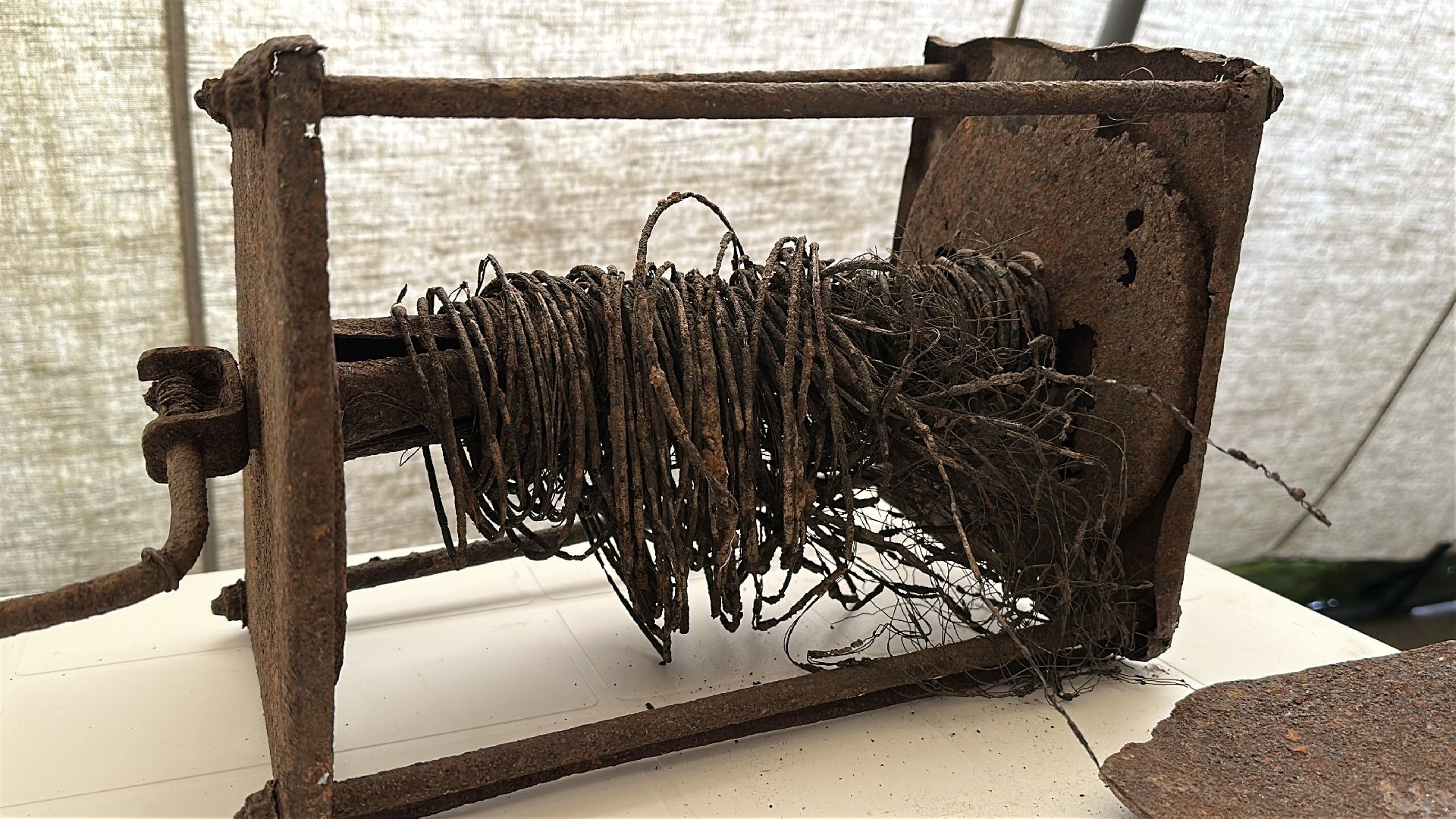 клин, культура, день победы, общество,