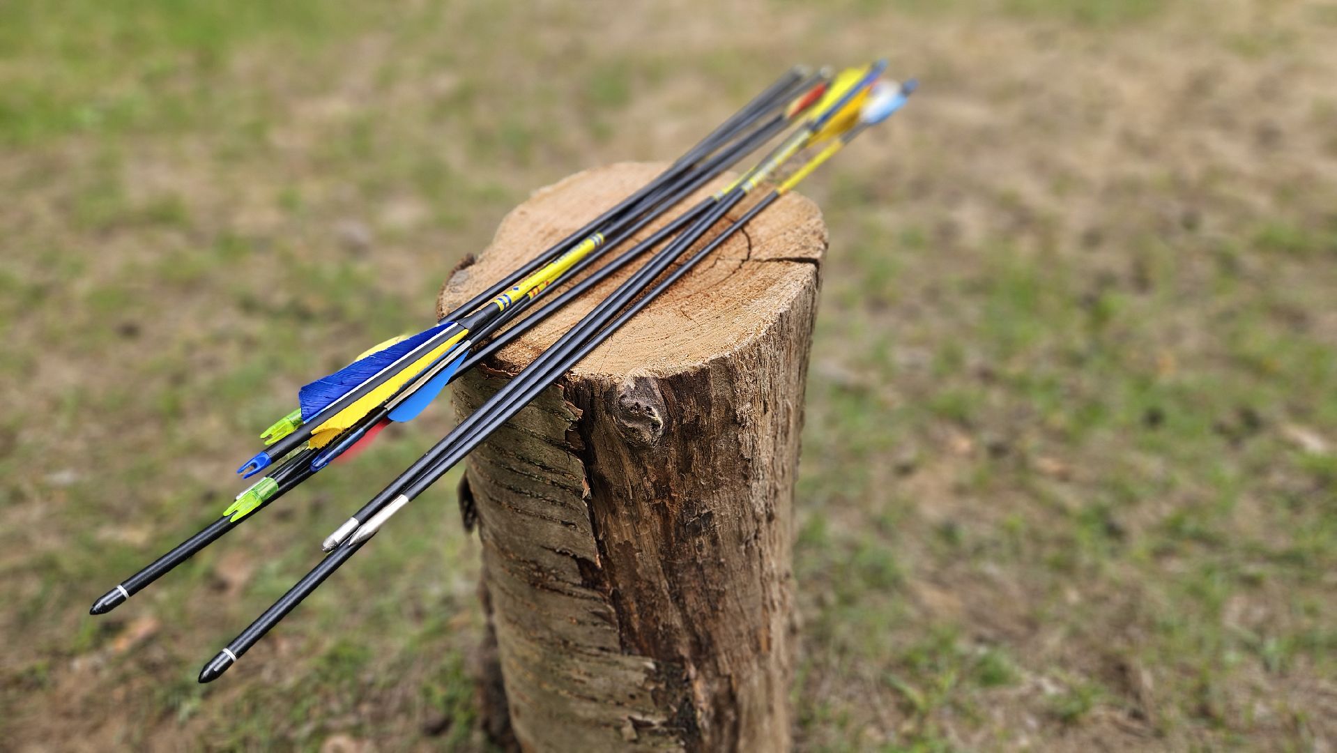 бой на мечах, стрельба из лука, жуковский, парк, 9 мая,