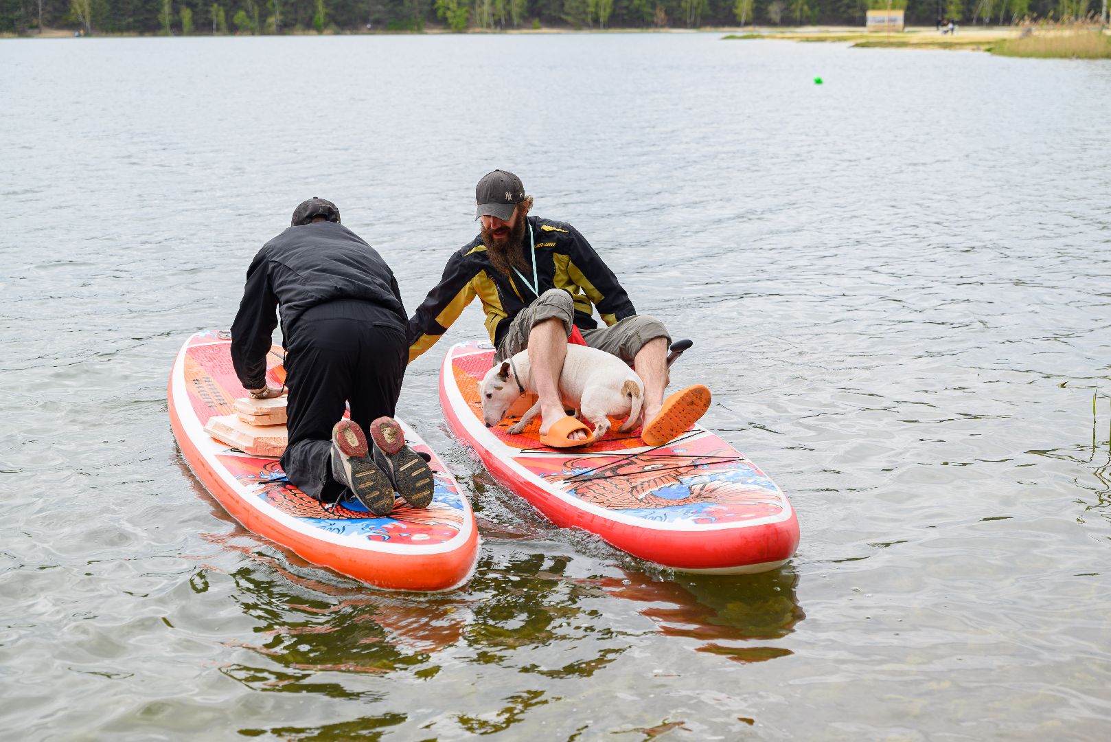 общество, белые медведи, патриотизм, день победы, лыткарино, 9 мая,