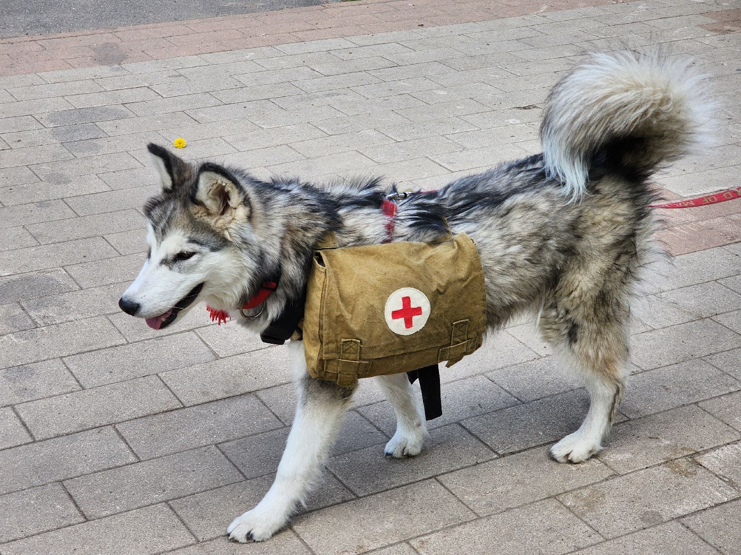 Герои вов, День Победы , Выставка,