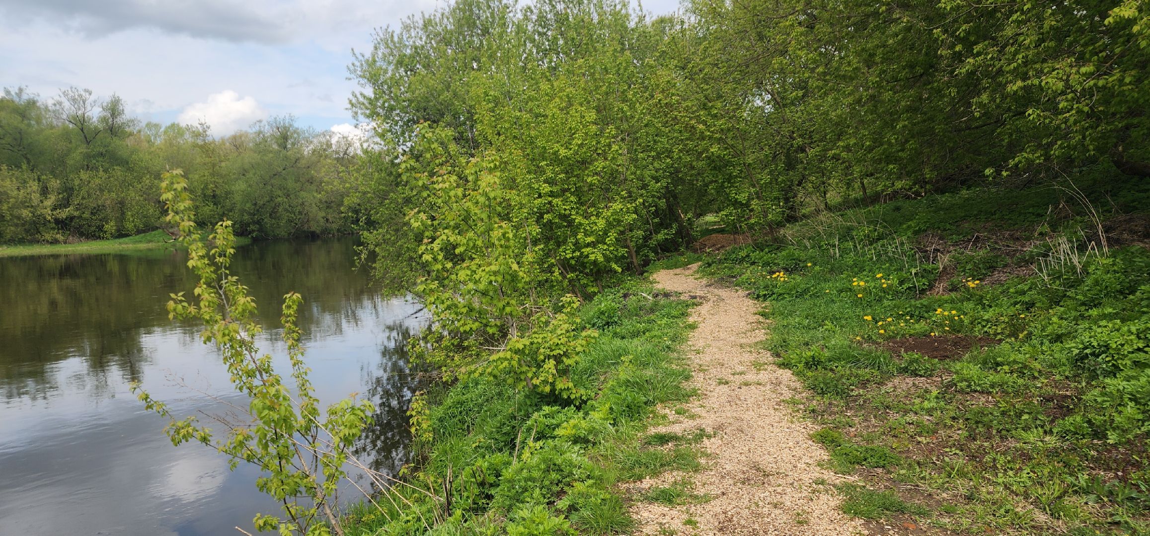 Звенигород, Экология , Субботники,