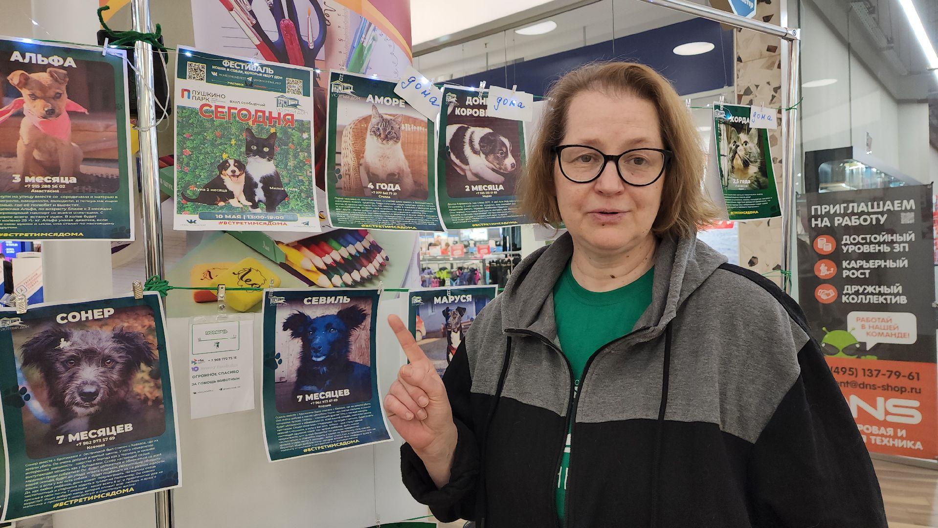 пушкино, пристройство, бездомные животные, кошки, собаки, гости,кинолог, канистерапия,вертикалки,