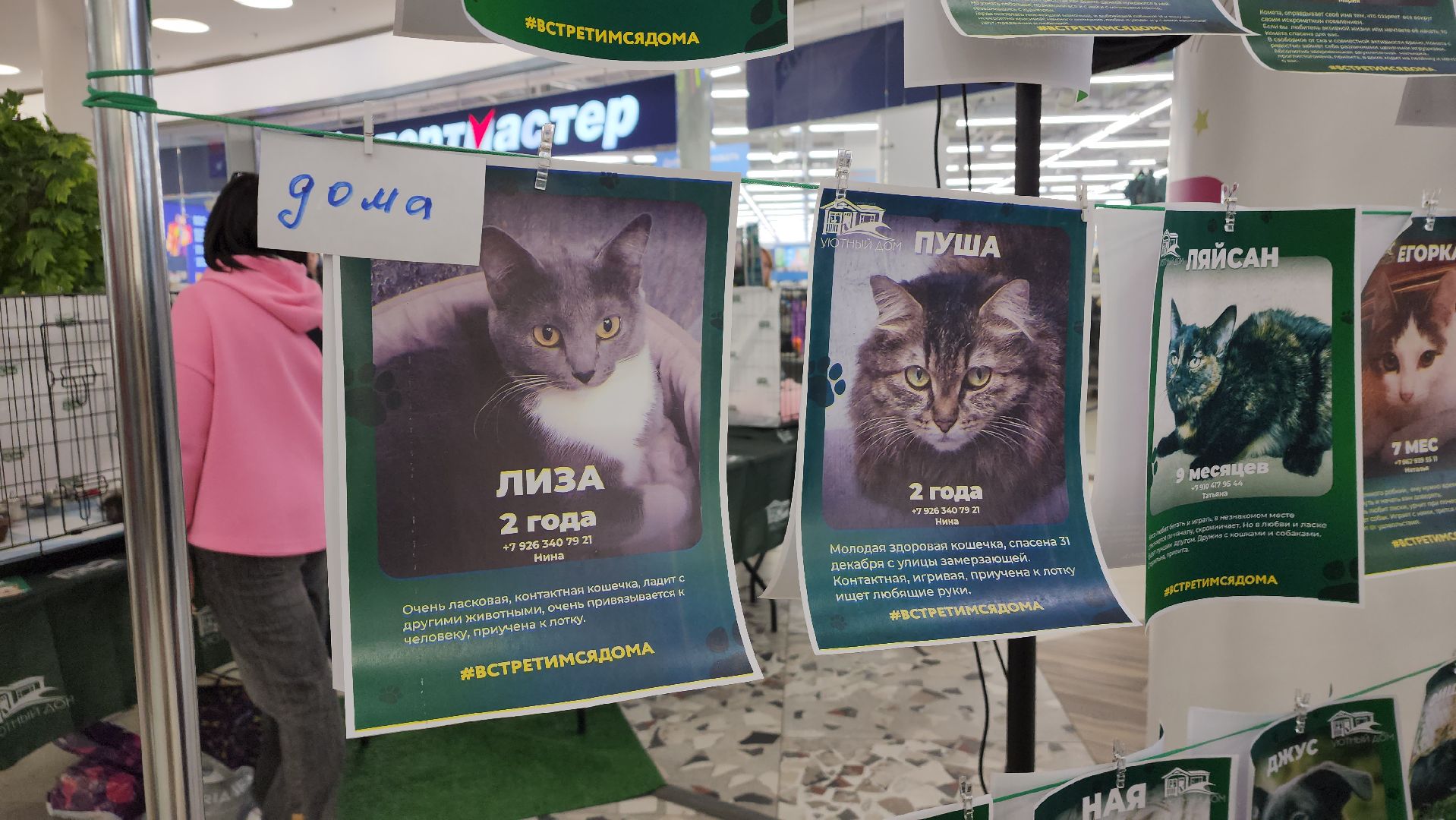 пушкино, пристройство, бездомные животные, кошки, собаки, гости,кинолог, канистерапия,вертикалки,