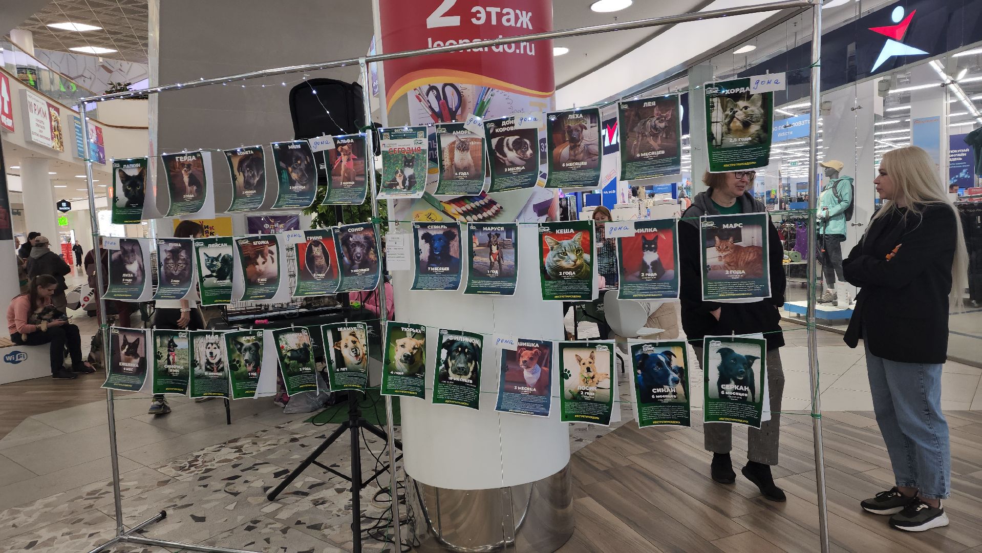 пушкино, пристройство, бездомные животные, кошки, собаки, гости,кинолог, канистерапия,вертикалки,