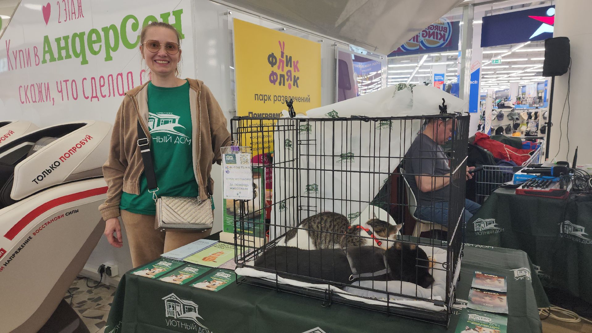 пушкино, пристройство, бездомные животные, кошки, собаки, гости,кинолог, канистерапия,вертикалки,