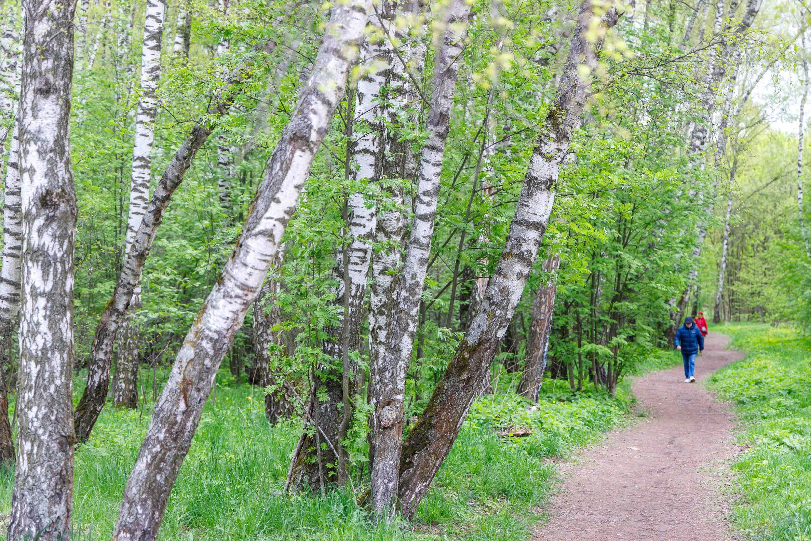 Люберцы, Люберецкая больница, врач-аллерголог, аллергия,