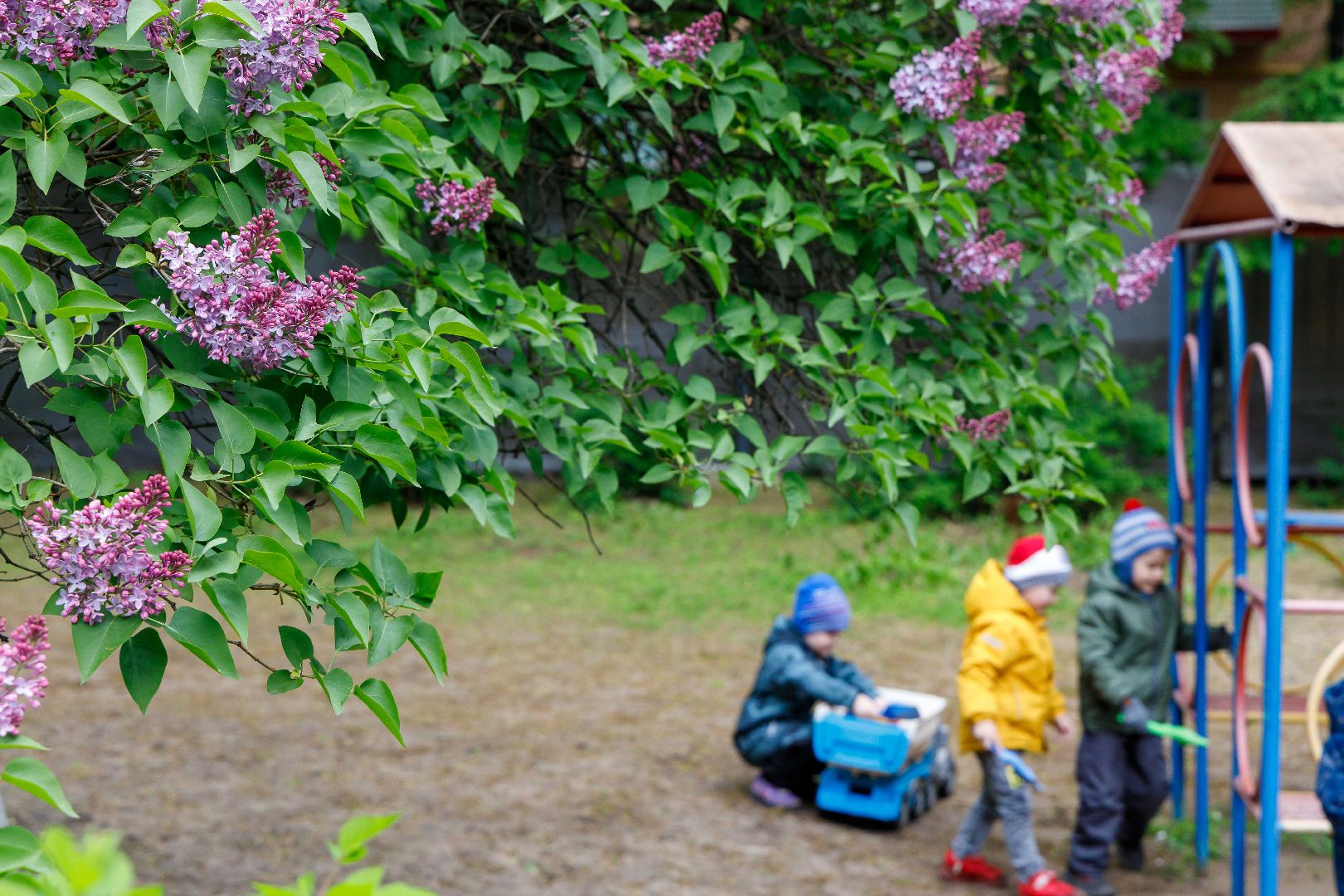 Люберцы, Люберецкая больница, врач-аллерголог, аллергия,