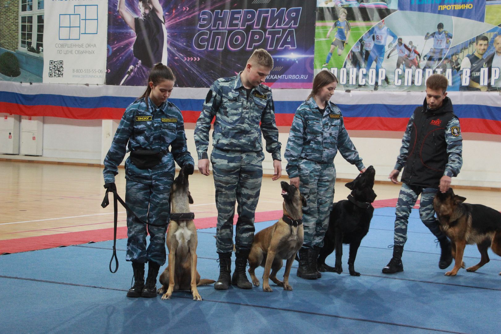 кинологи, выступление, спорт музыка грация, фестиваль, Протвино