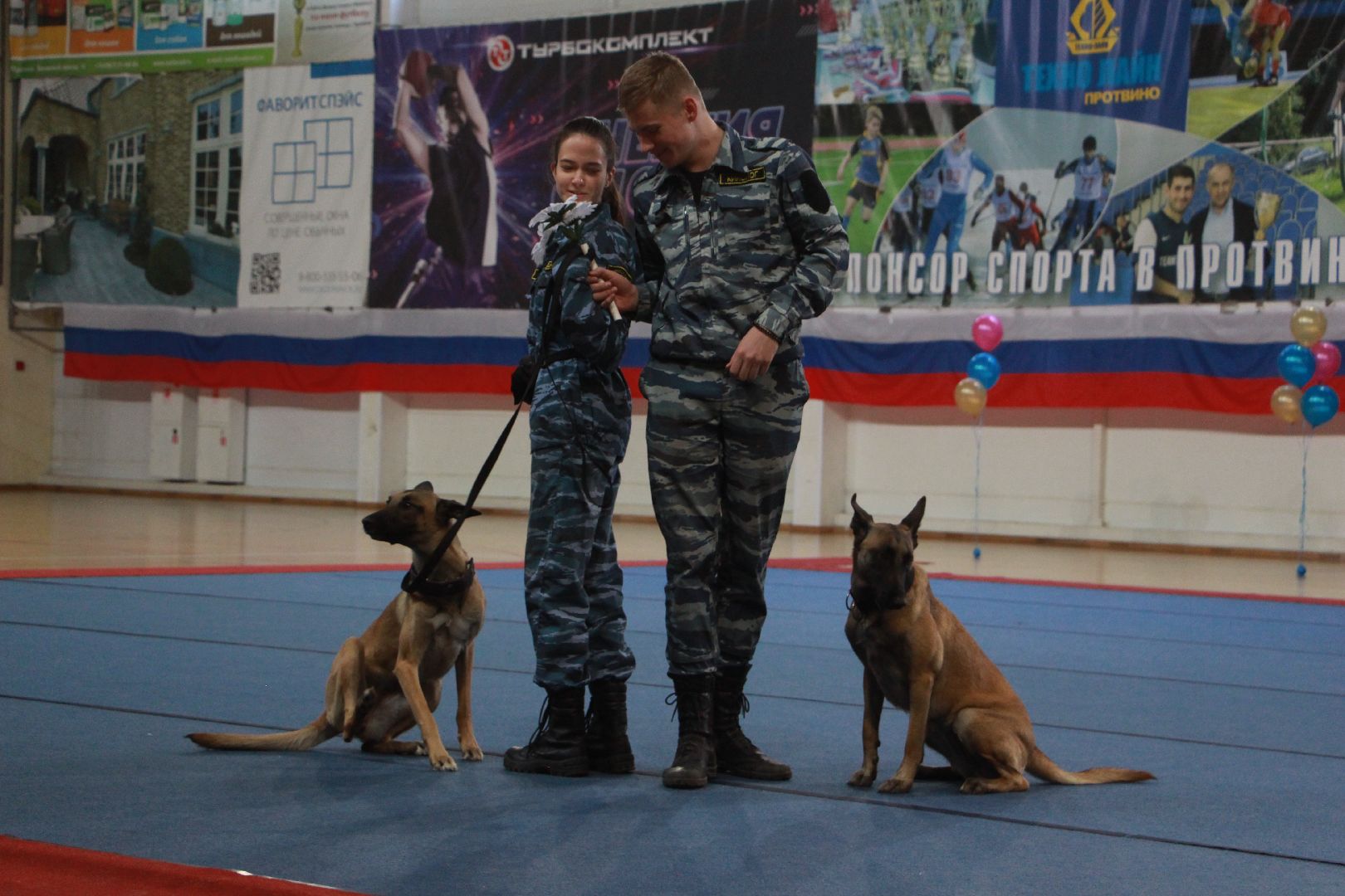 кинологи, выступление, спорт музыка грация, фестиваль, Протвино