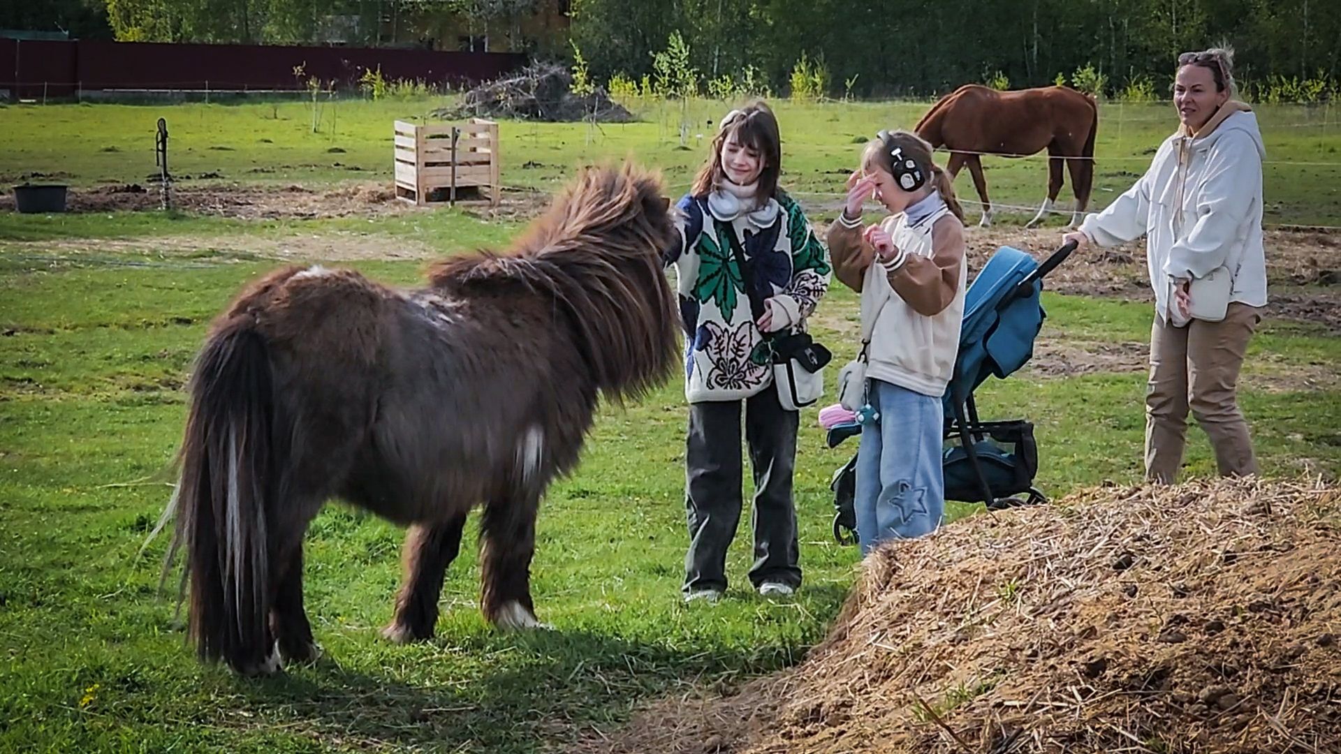 раменский округ , деревня салтыково, конный клуб салтыково, дети, лошади ,