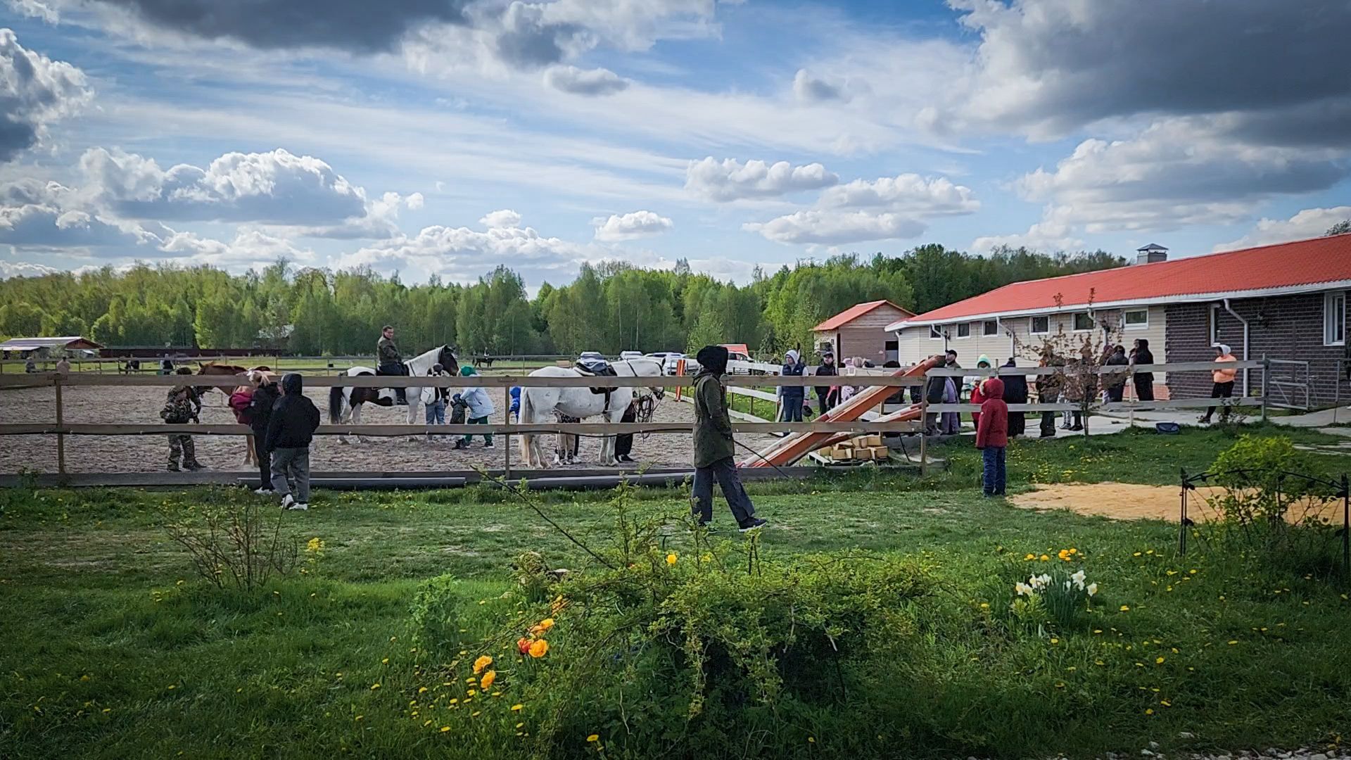 раменский округ , деревня салтыково, конный клуб салтыково, дети, лошади ,