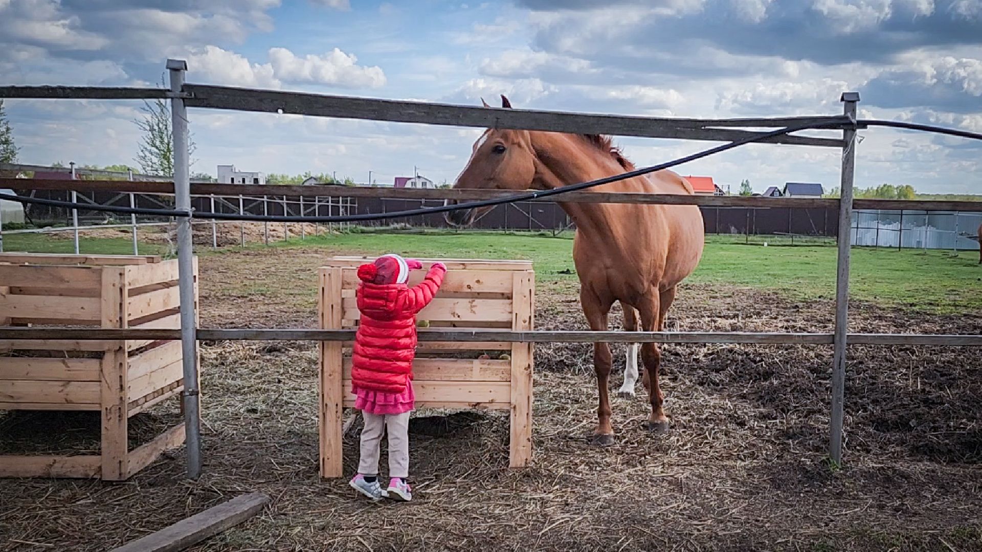 раменский округ , деревня салтыково, конный клуб салтыково, дети, лошади ,