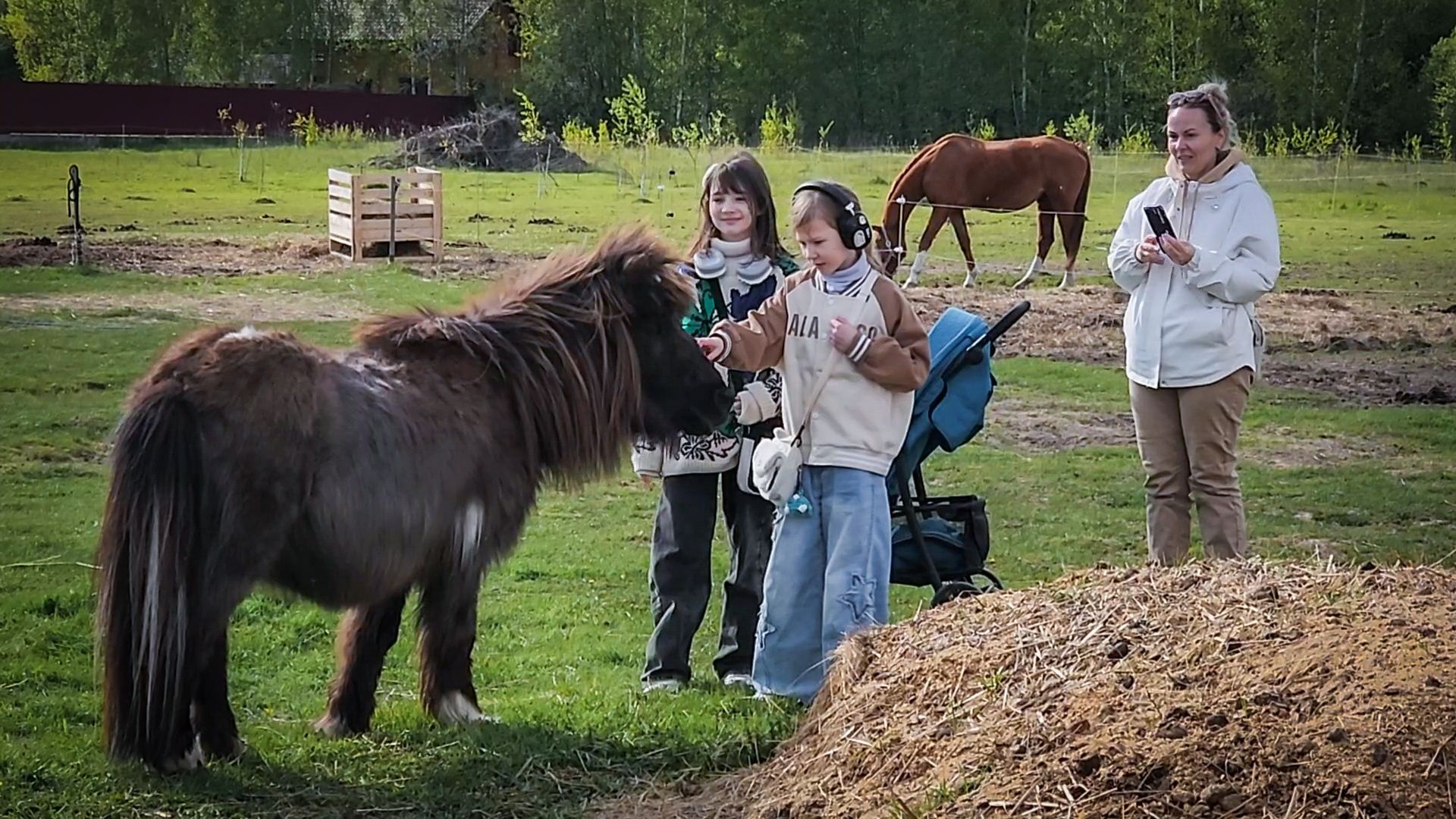 раменский округ , деревня салтыково, конный клуб салтыково, дети, лошади ,