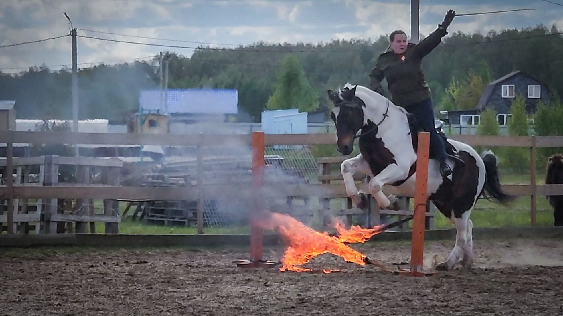 раменский округ , деревня салтыково, конный клуб салтыково, дети, лошади ,